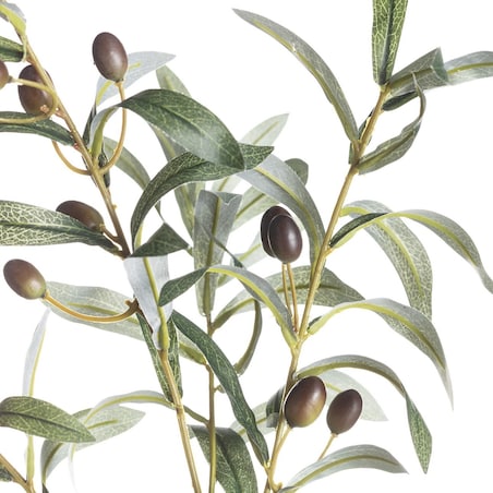 Gałązka oliwna 70cm, 10 x 10 x 70 cm