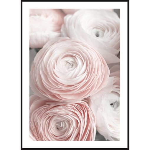 Poster Story, Plakat, Obraz - Subtelne Róże, wymiary 42 x 60 cm