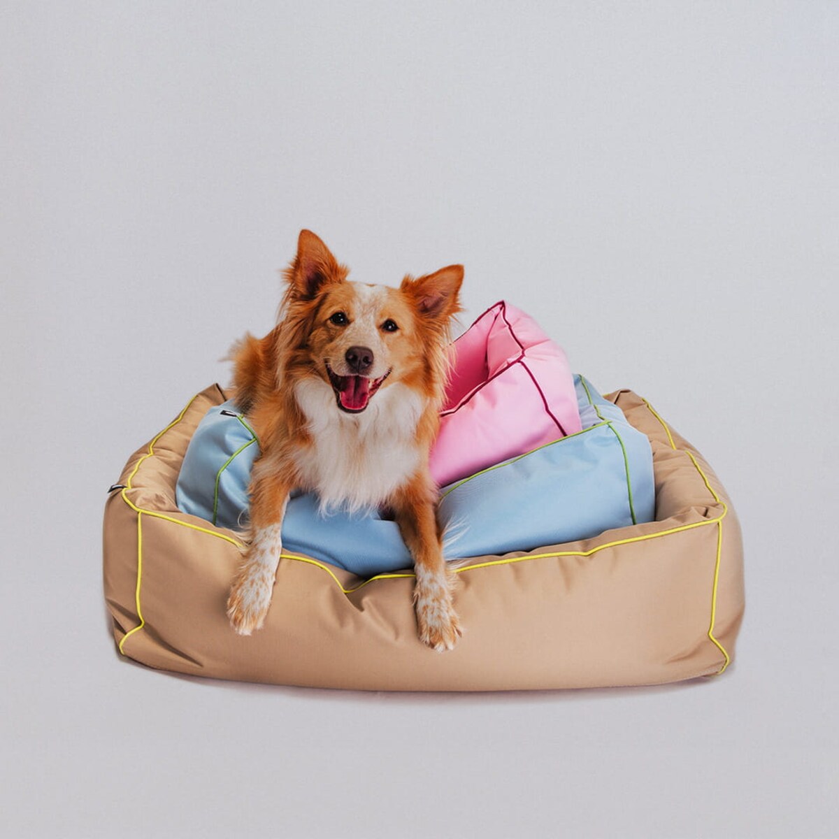 Legowisko dla psa Sun - S - 60x50cm