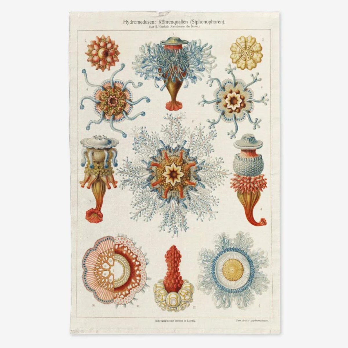 Lniany ręcznik kuchenny - Rafa koralowa