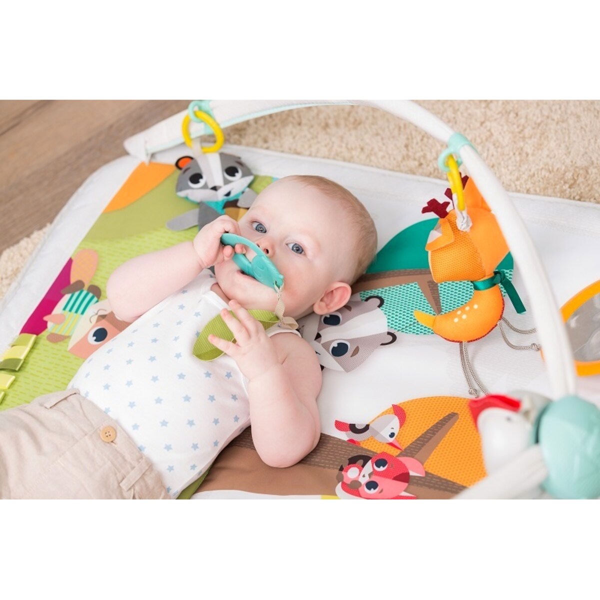 Gimnastyka/mata edukacyjna z pałąkami - Leśna Kraina