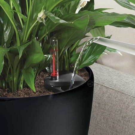 LECHUZA Donica Classico Color 28 ALL-IN-ONE, ciemnoszara, 13204