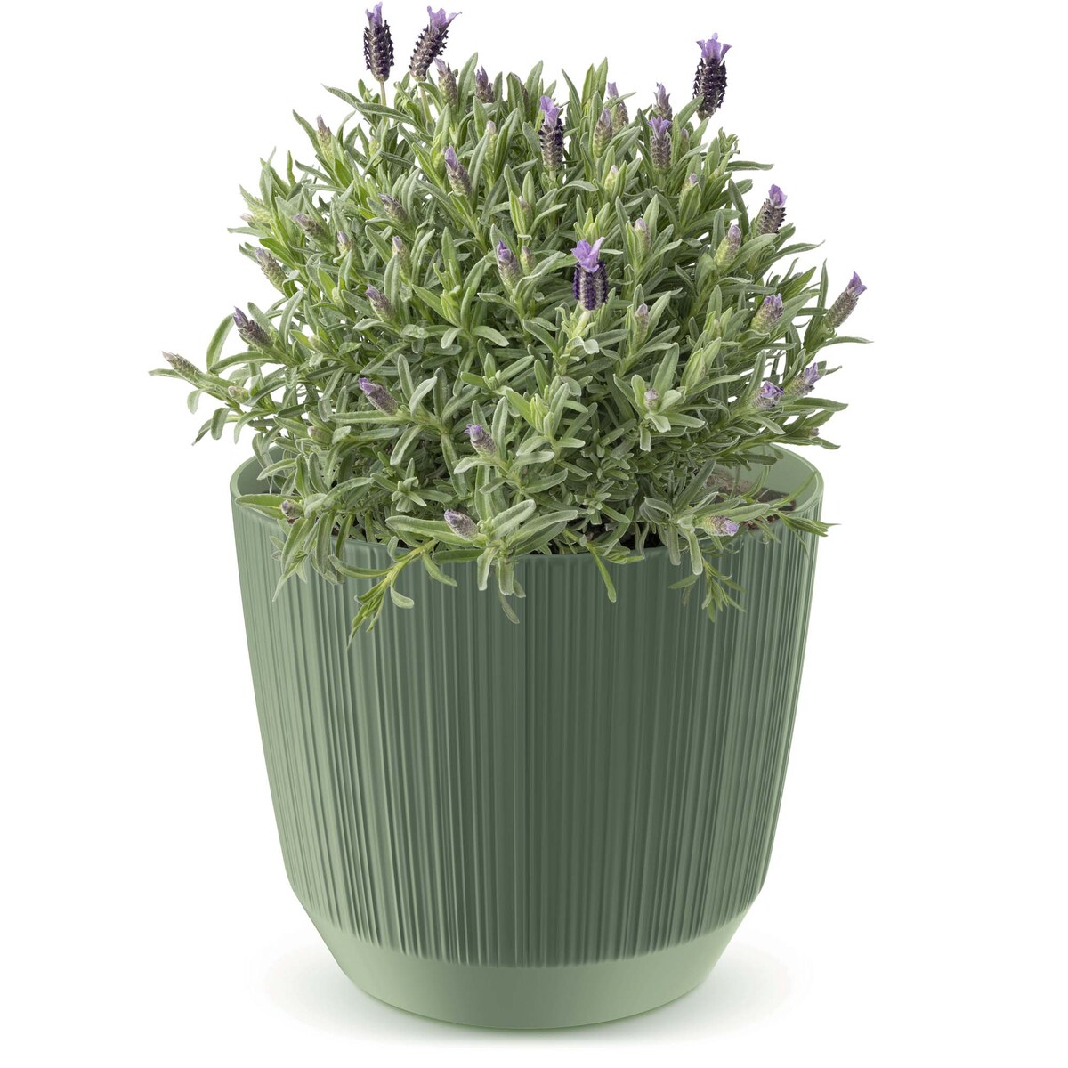 Doniczka Osłonka Domowa 16,8 Cm Ryfo Na Stół Parapet Do Domu Zielona