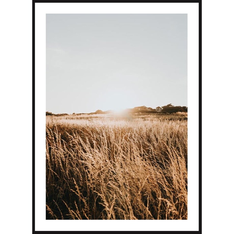 Zachód Słońca na Łące - 30x40 cm