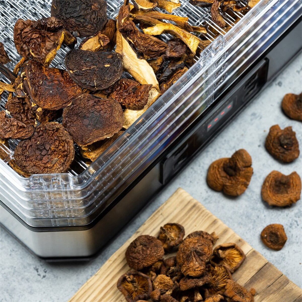 Suszarka do żywności grzybów i owoców 350W KLAUSBERG