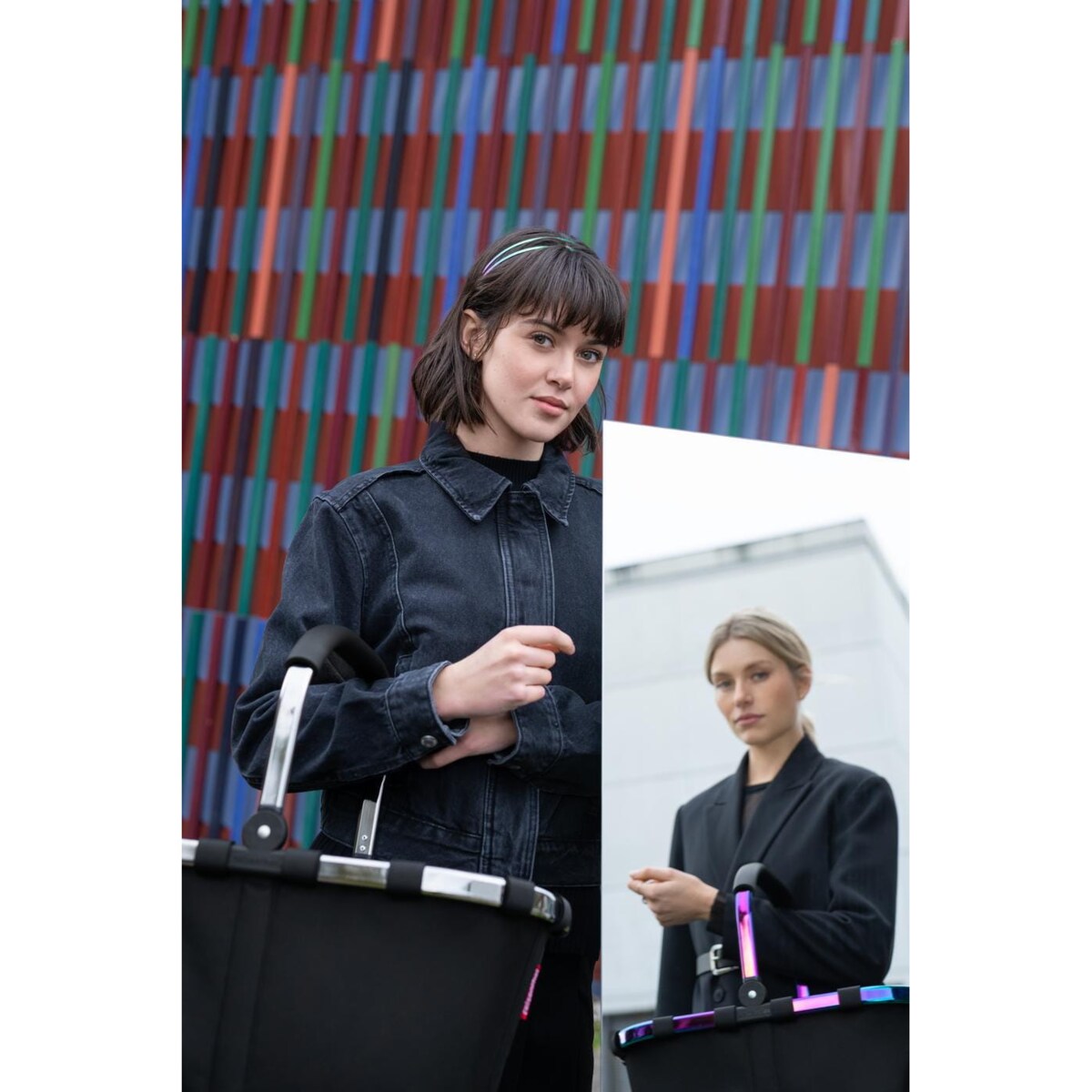 Koszyk CARRYBAG FRAME, platinum/black