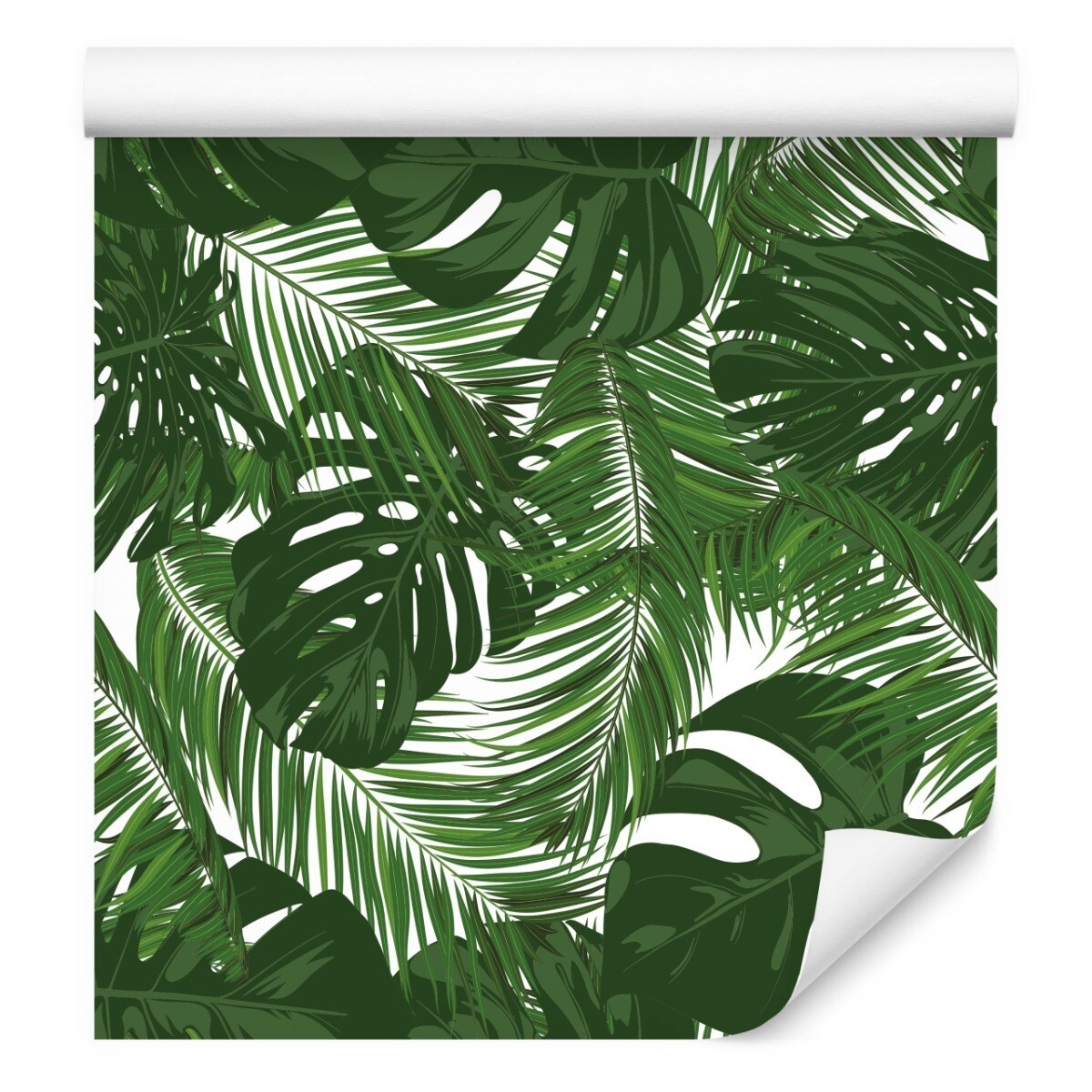 Tapeta Egzotyczne LIŚCIE Tropikalne Rośliny