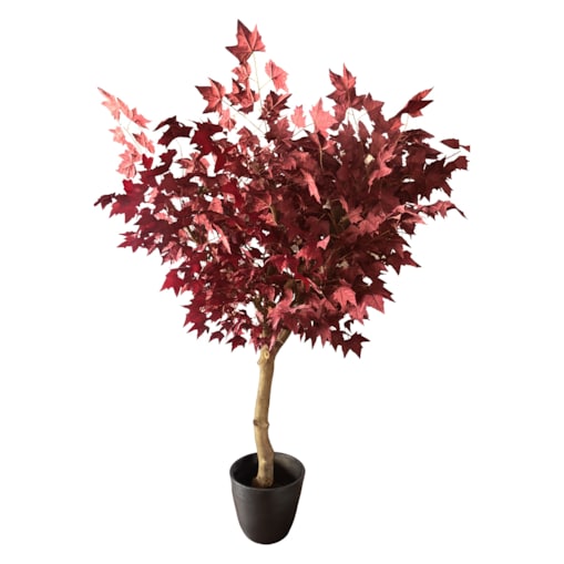 Drzewo klon bordowy na naturalnym pniu 220 cm