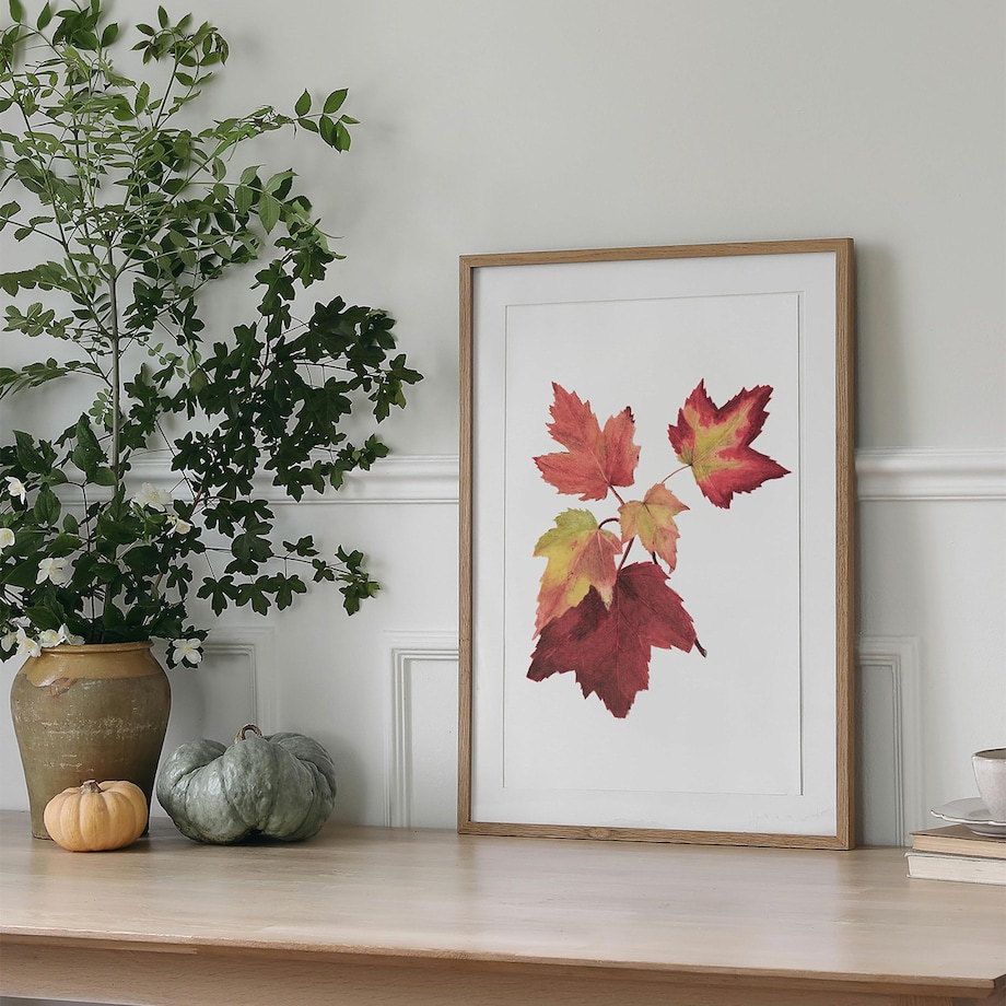 Plakat Jesienne liście #3 30x40cm