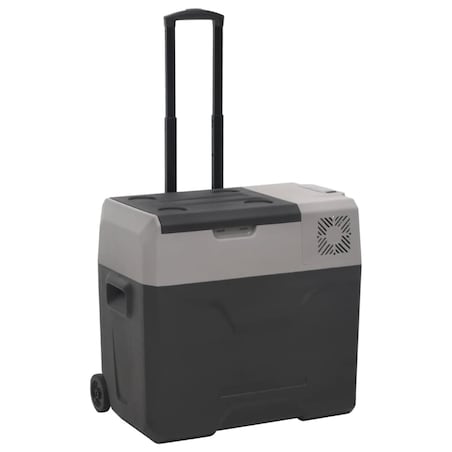vidaXL Lodówka na kółkach, z uchwytem, czarno-szara, 30 L, PP