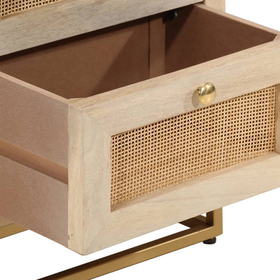 vidaXL Szafka nocna, 40x30x50 cm, lite drewno mango i żelazo