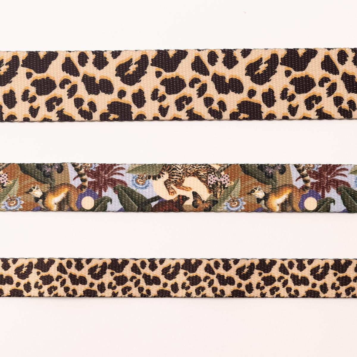 Obroża dla psa lub kota "Pan tera mi kupi" PANTERKĄ DO GÓRY - Szerokość taśmy: 38mm, Rozmiar: XS