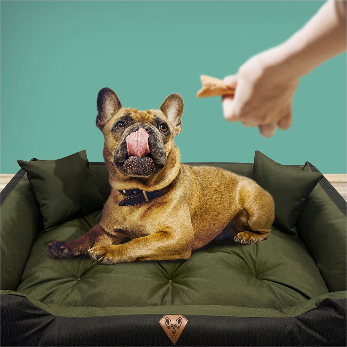 Legowisko Dla Psa Kanapa Posłanie 75X65 Cm Wodoodporne Poduszki Pikowane Zielone