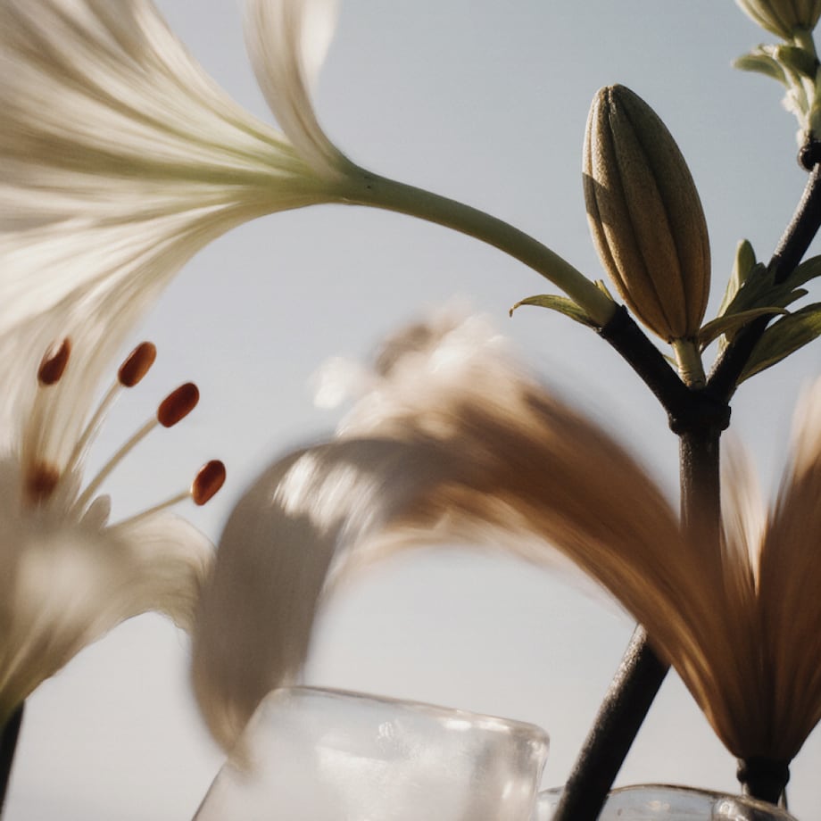 Côte Blanche 10ml - zapach do mini dyfuzora