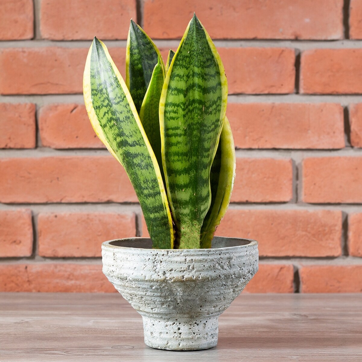 DONICA NICKI styl loft betonowa śr. 18cm