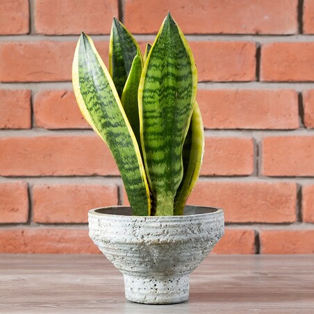 DONICA NICKI styl loft betonowa śr. 18cm