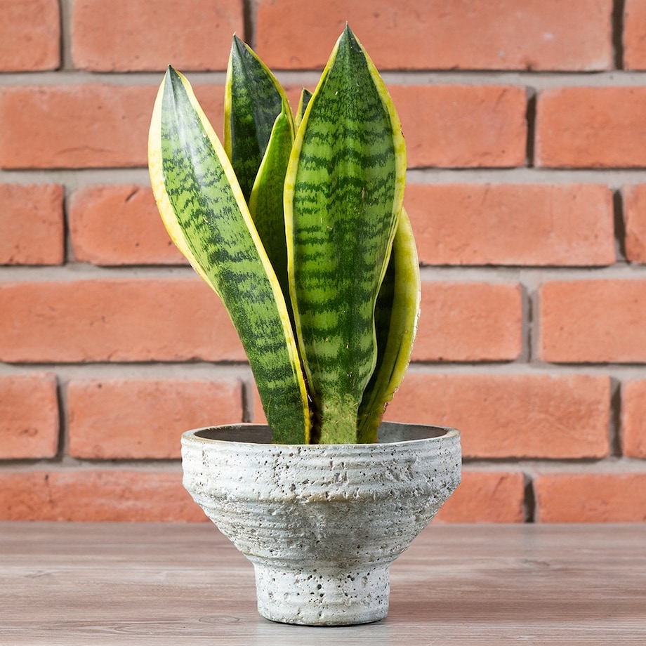 DONICA NICKI styl loft betonowa śr. 18cm