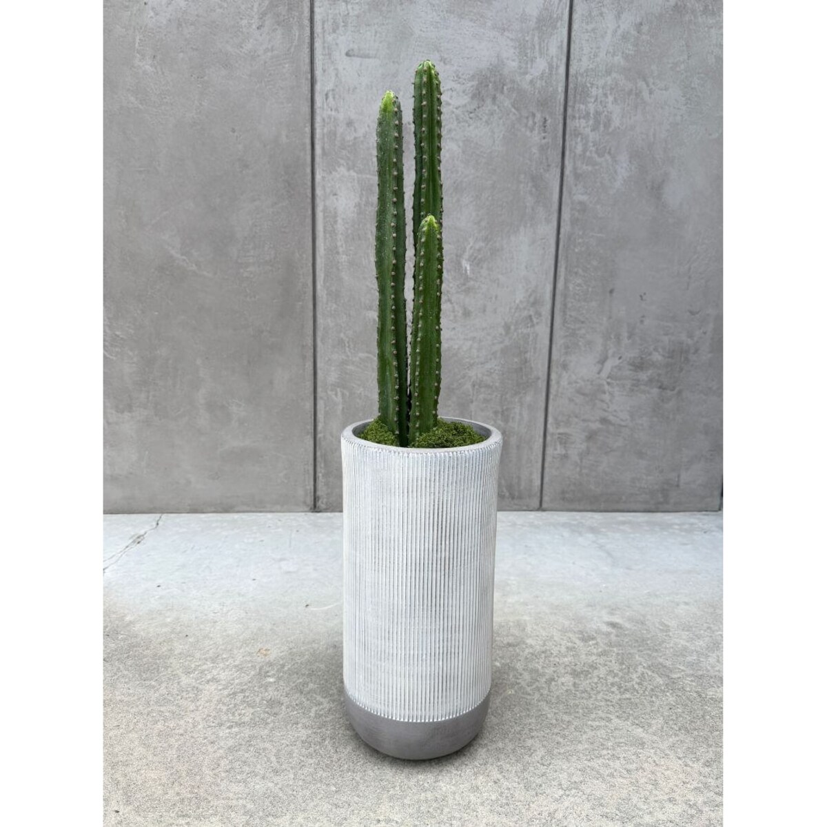 KAKTUS DEKORACYJNY 65 CM