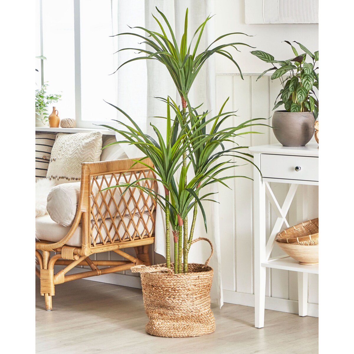 Sztuczna roślina DRACAENA ANITA 147 cm Zielony
