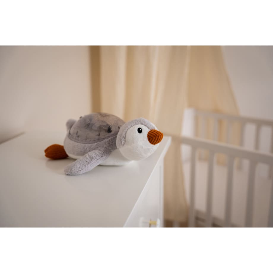 Projektor z pozytywką - Pingwin ECO - Cloud b® Tranquil Penguin™