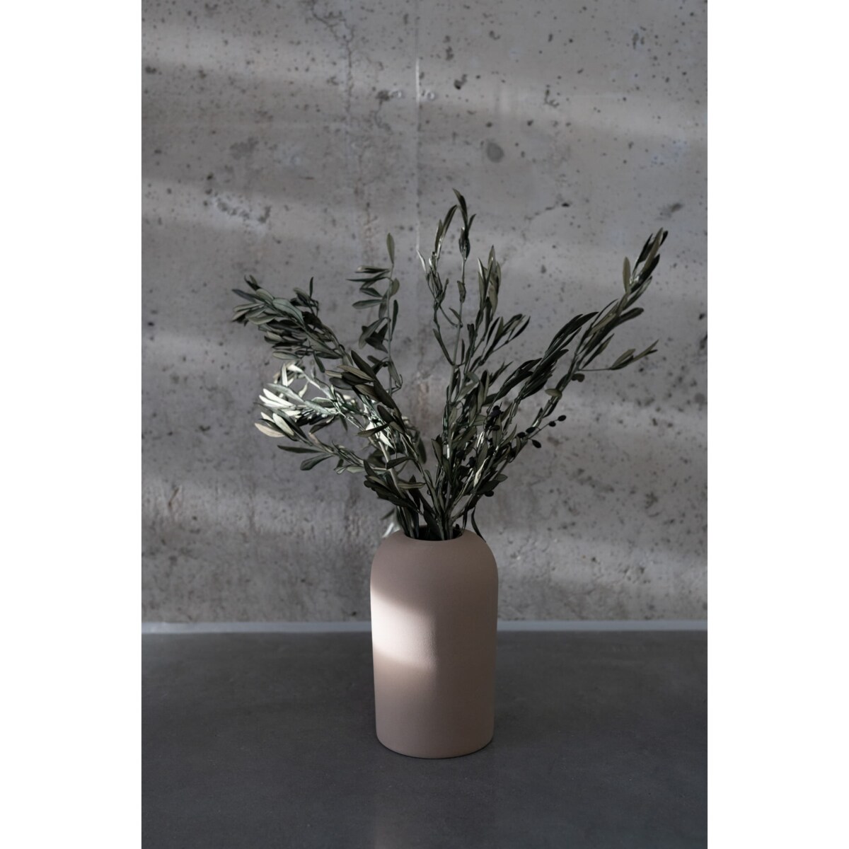 Stabilizowane Gałązki Oliwne