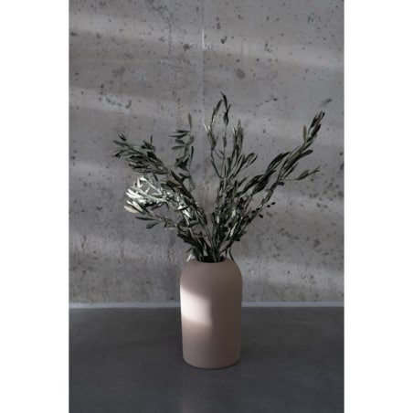 Stabilizowane Gałązki Oliwne