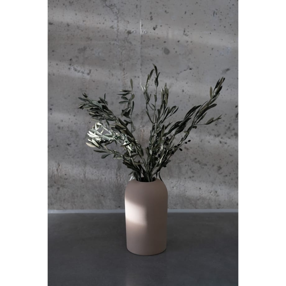 Stabilizowane Gałązki Oliwne