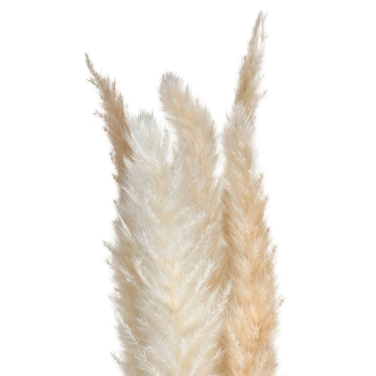 Ozdobne źdźbło z trawy pampasowej, 6 szt., 65 cm