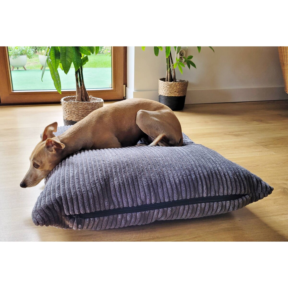 Poduszka dla psa ze sztruksu MOLLY, 80x60 cm, Grafit