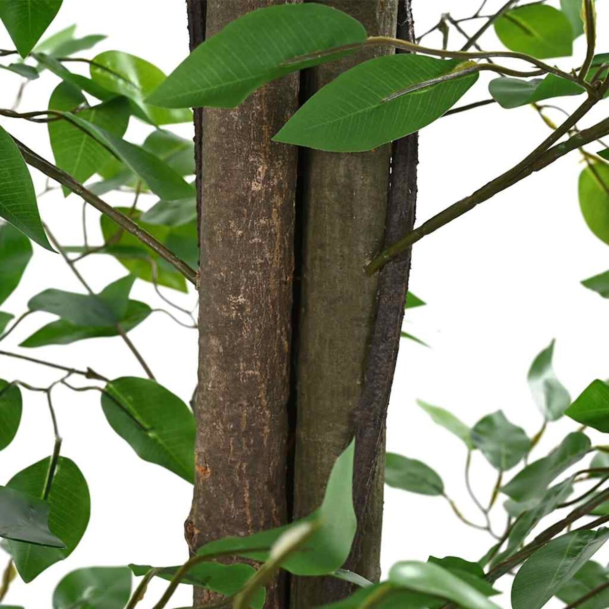 vidaXL Sztuczna roślina Ficus 2016 Liście 300 cm Zielony