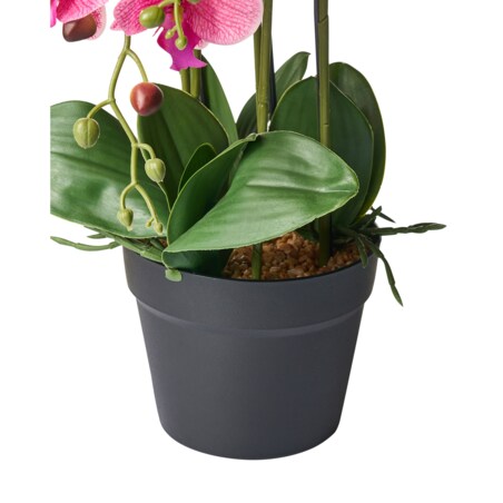 Sztuczna roślina ORCHID 65 cm Różowy