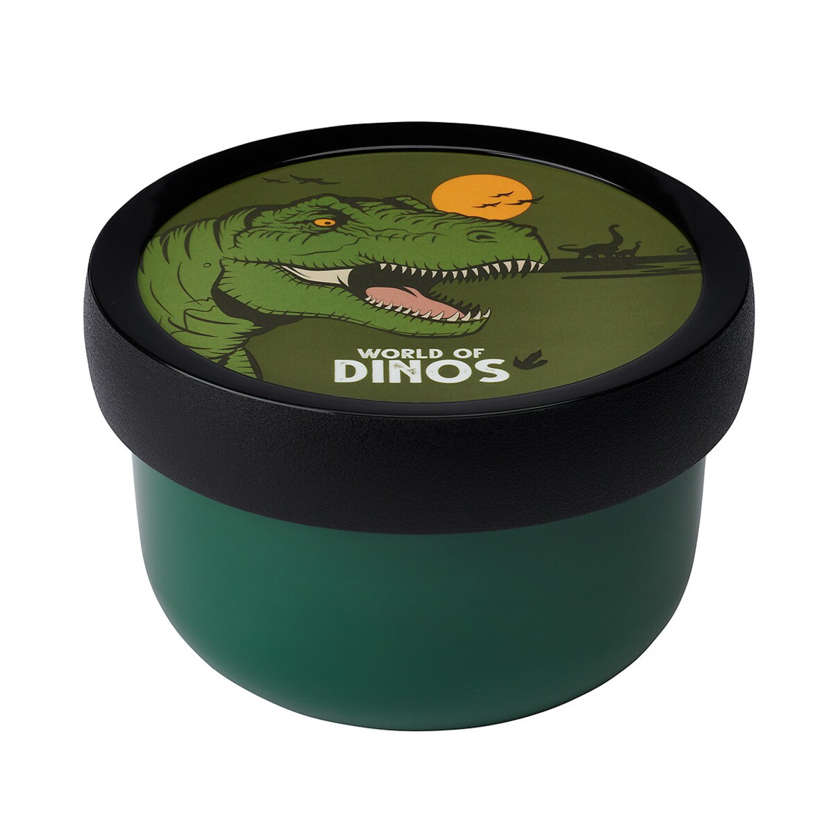 Fruit Box pudełko na owoce Campus 300 ml Dino 107430065381