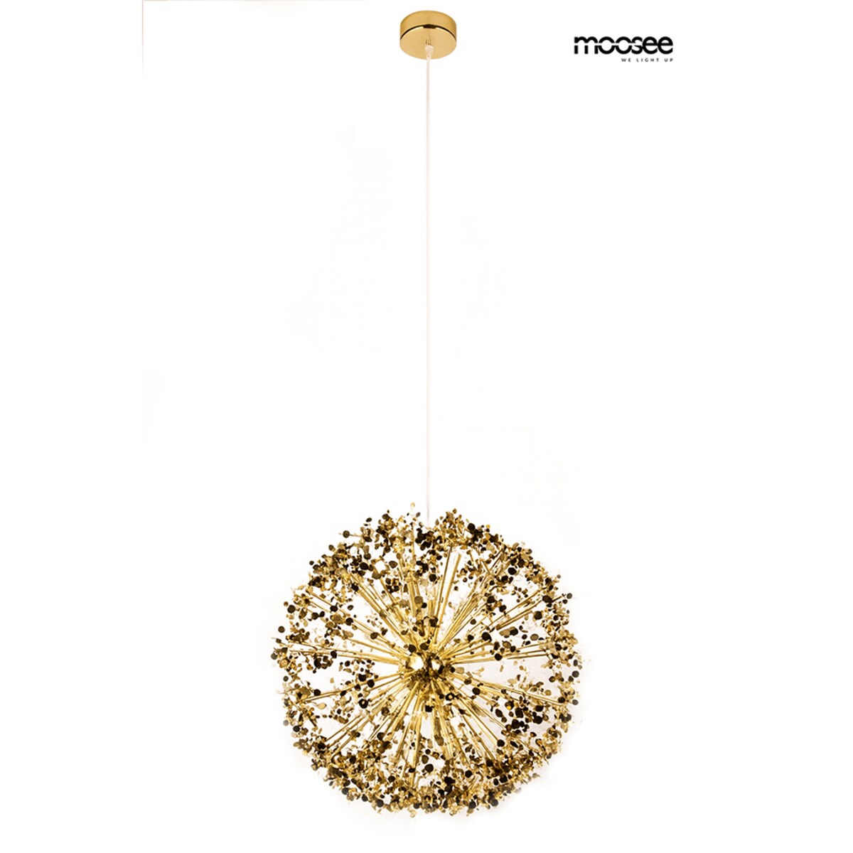 MOOSEE lampa wisząca MONETE 50 złota