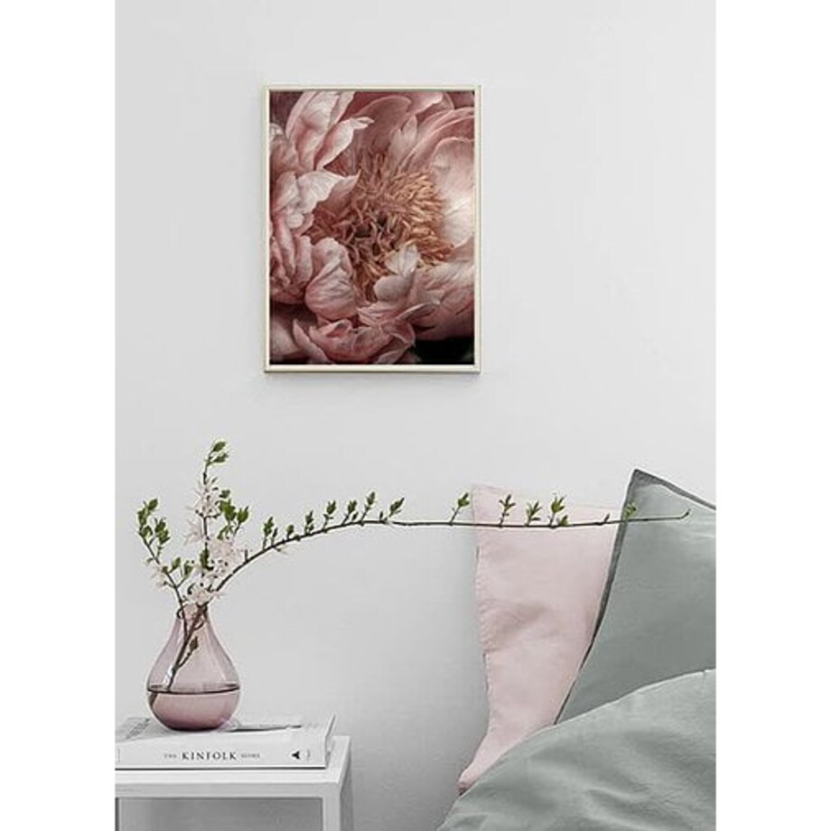 Poster Story, Plakat, Obraz - Różowa Piwonia, wymiary 50 x 70 cm