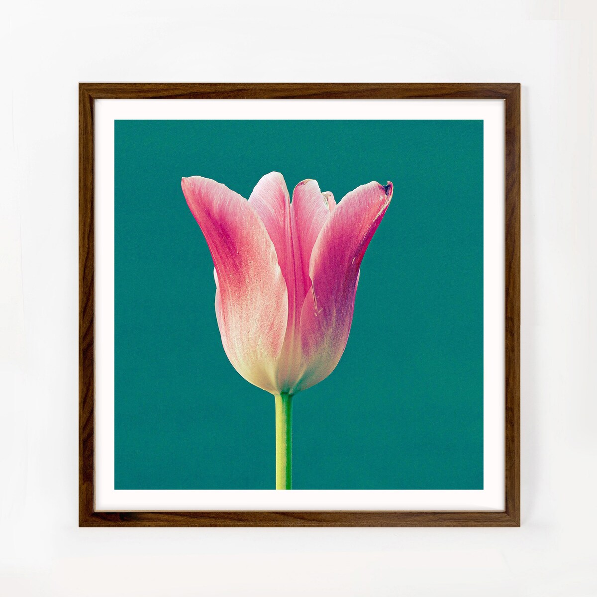 Ramka na zdjęcia 50x50 cm brązowa rama MDF z plexi do powieszenia klasyczna kwadratowa ramka FRAMAI