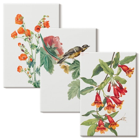 Zestaw 3 małych obrazów na płótnie - Malowane kwiaty i ptak - pomarańczowy