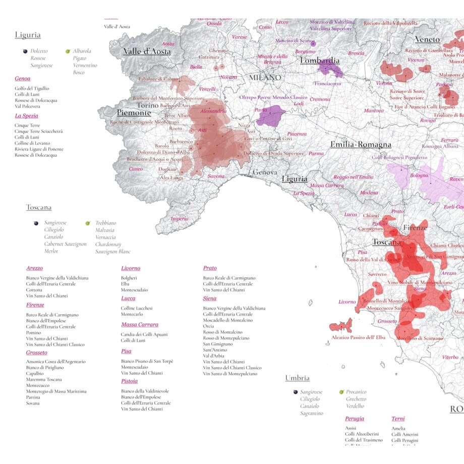 plakat WŁOCHY regiony winiarskie 40x50cm