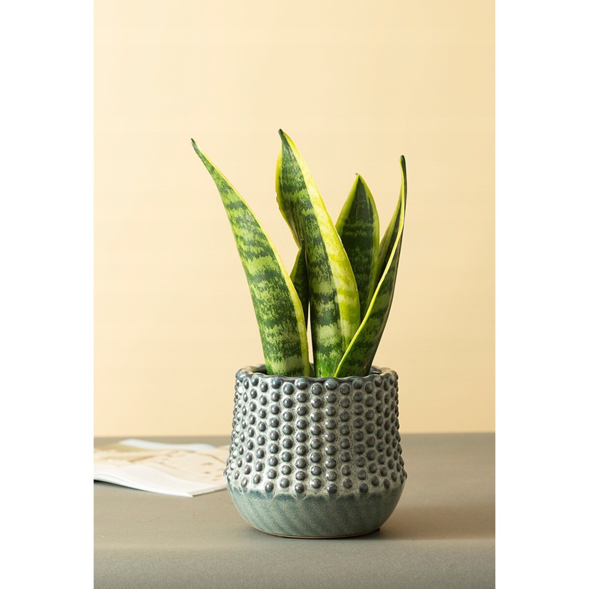 DONICA BŁĘKITNA w kółka ceramiczna śr. 13cm