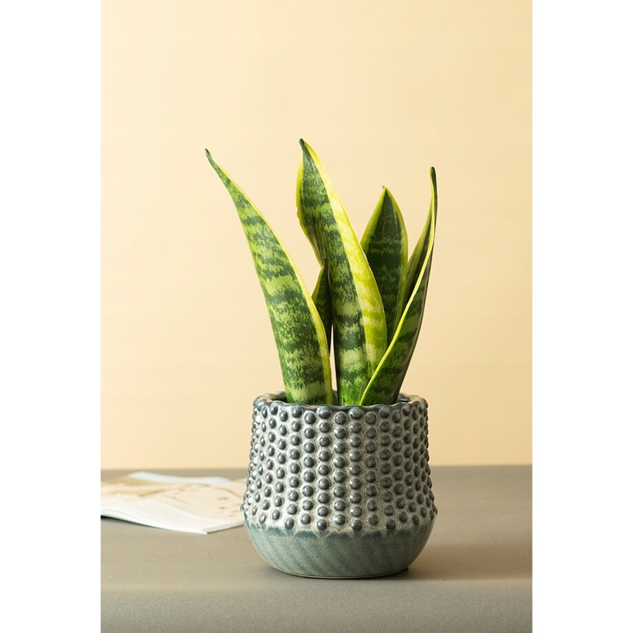 DONICA BŁĘKITNA w kółka ceramiczna śr. 13cm