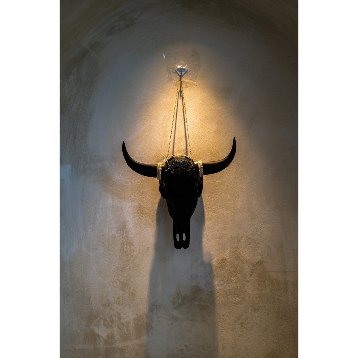 DEKORACJA GŁOWA BYKA CZARNA S