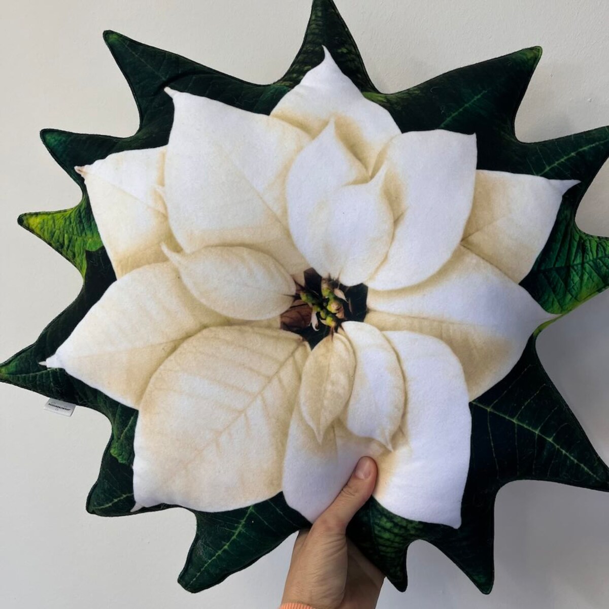 Poduszka duża Gwiazda Betlejemska biała Poinsencja