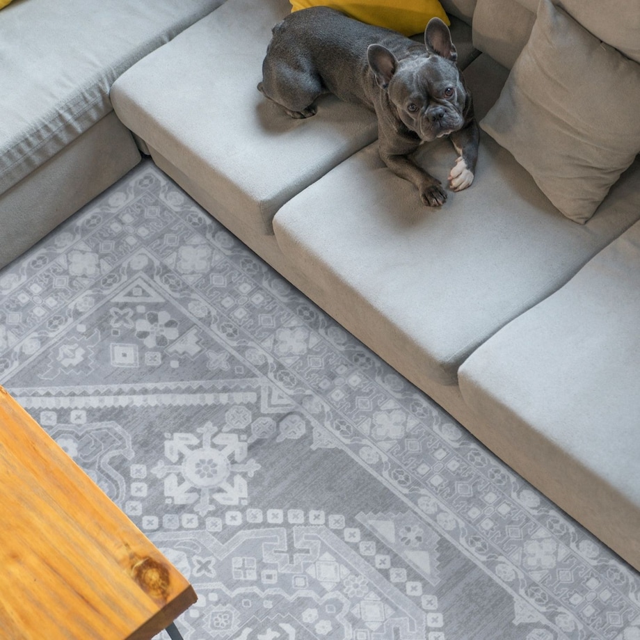 Dywan Klasyczny Sereno 160x230 cm Velvet Szary