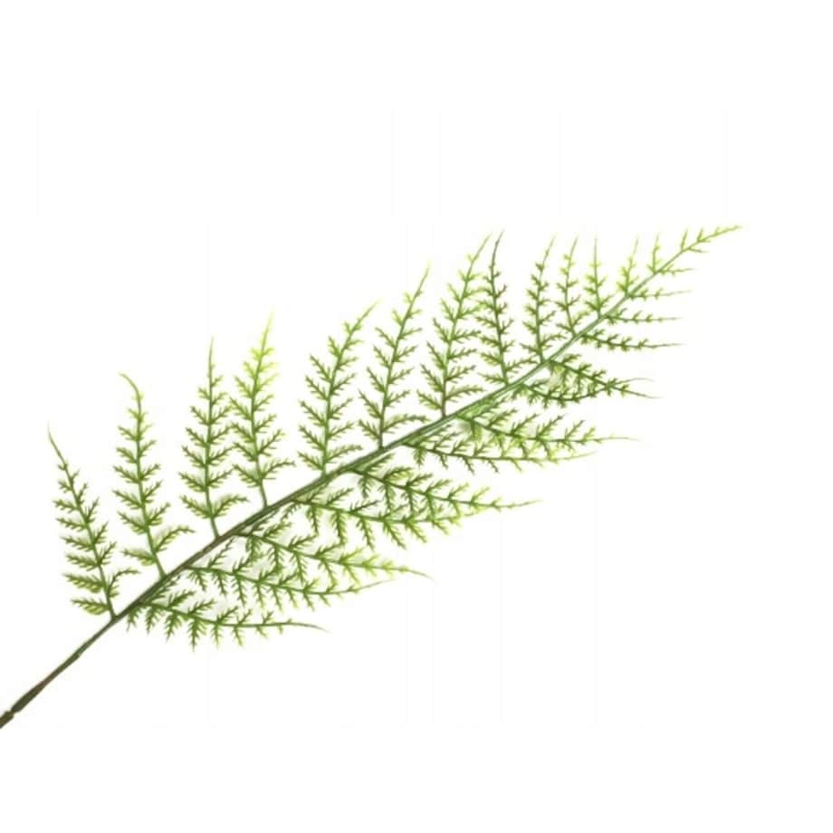 SZTUCZNA GAŁĄZKA LIŚĆ PAPROTKA paproć dekoracji 62cm do bukietu stroika pik