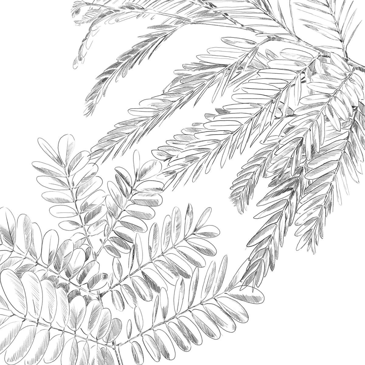 Komplet pościeli bawełnianej dla 2 osób MONSTERA, 240x220 cm