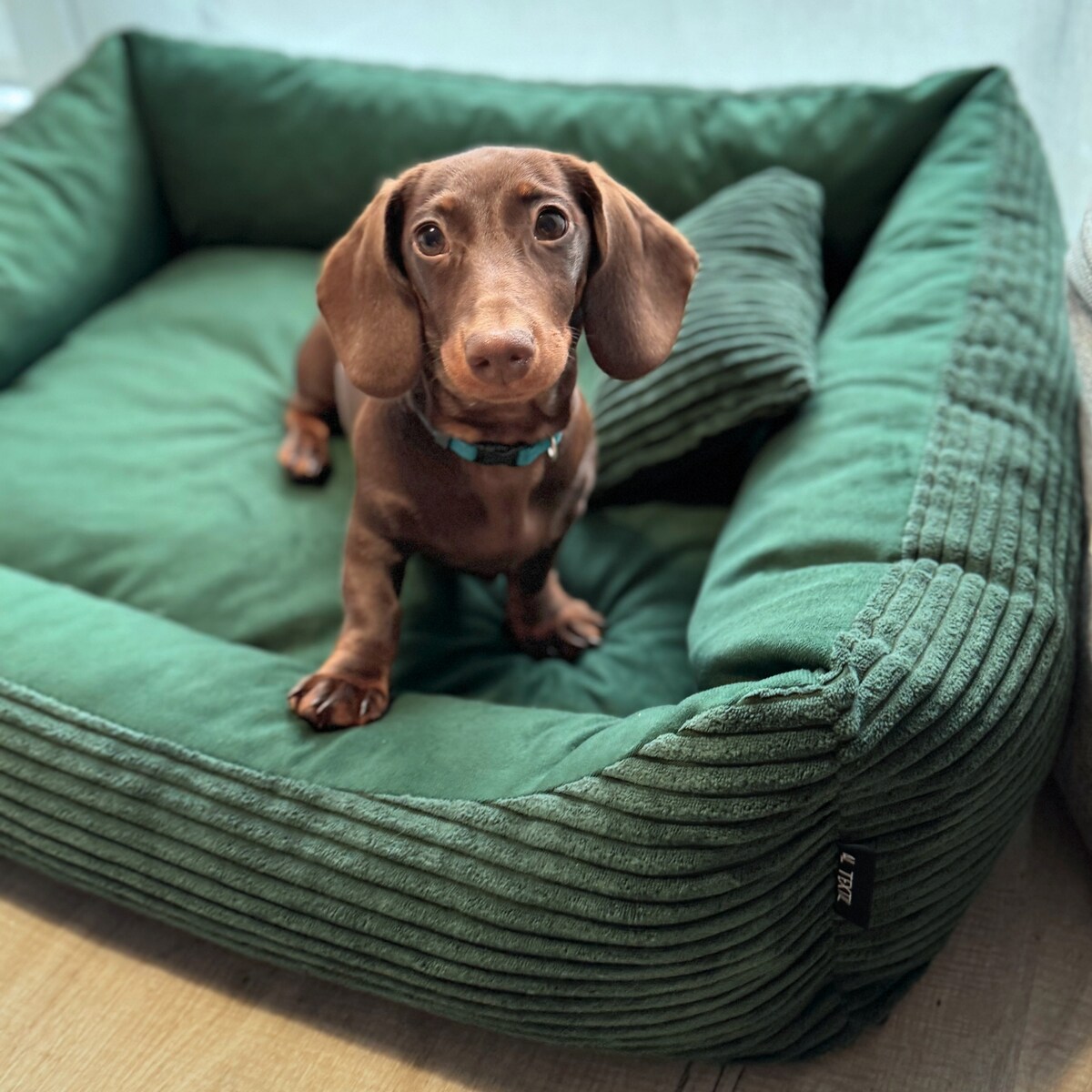 Sztruksowe legowisko dla psa MOLLY, 120x100 cm, Zieleń