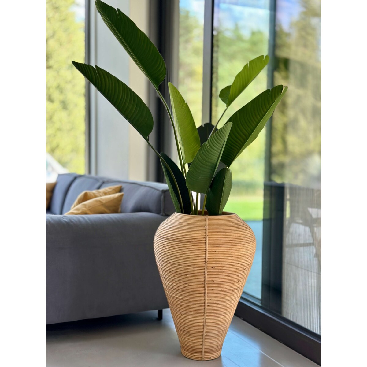 WAZON NICOLAS NATURALNY