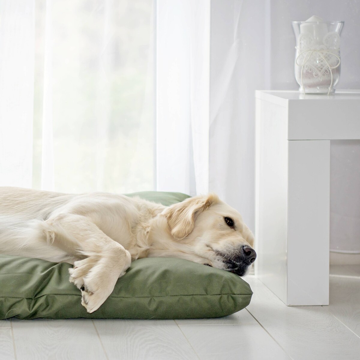 Wodoodporna poduszka dla psa ZOE, 100x80 cm, Zielony