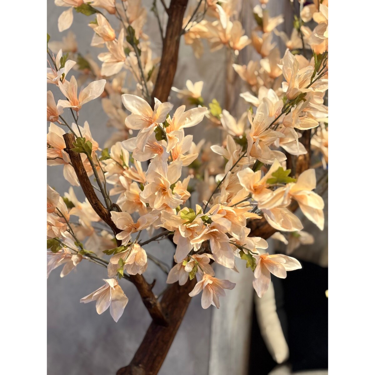 Drzewo kwitnące kremowe na naturalnym pniu 200cm