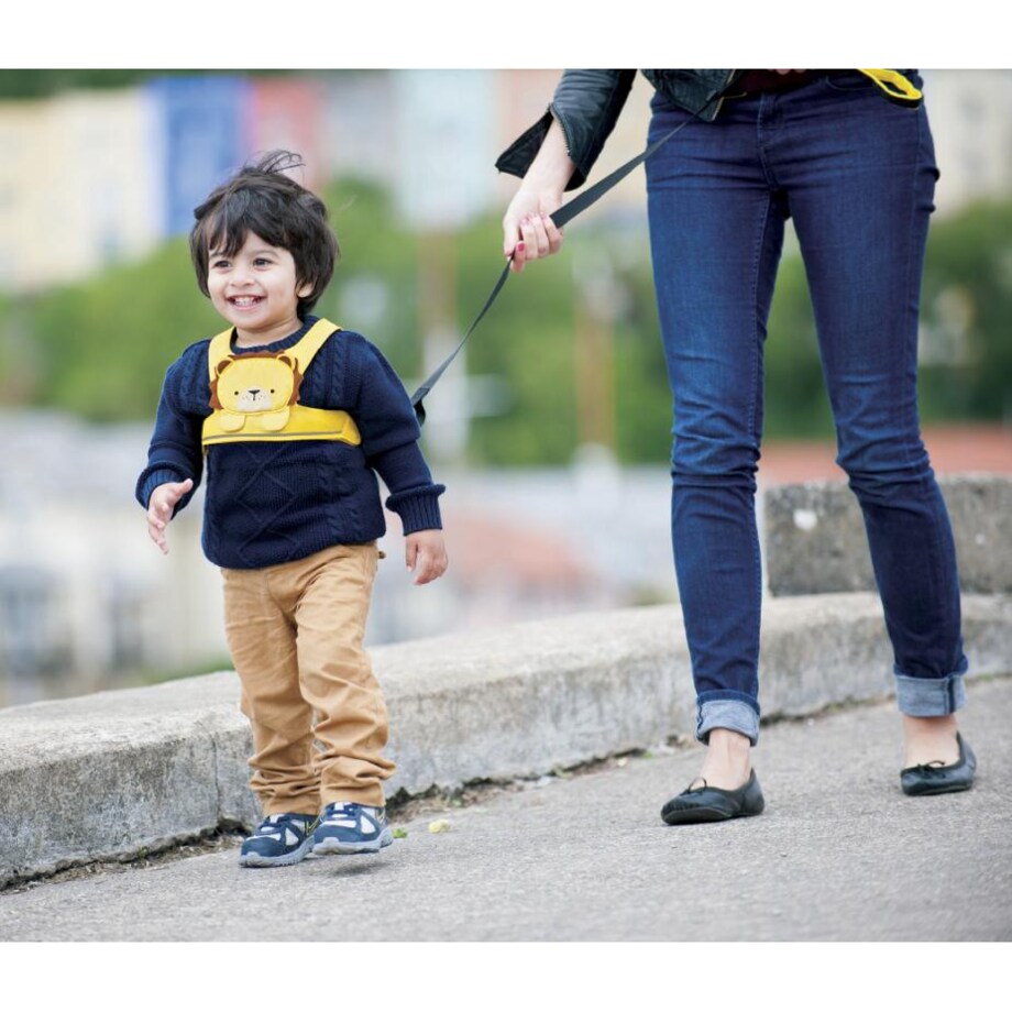 Szelki bezpieczeństwa Bert