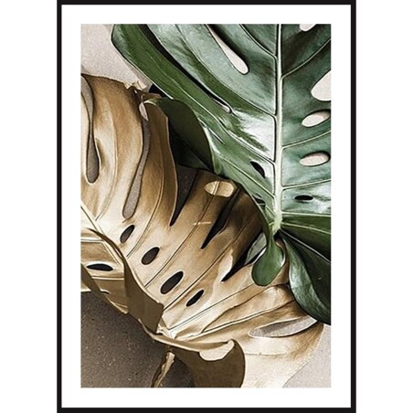 Poster Story, Plakat, Obraz - Złota Monstera No4, wymiary 30 x 42 cm